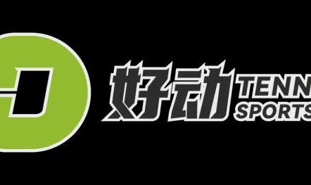 体育比赛直播-你们钱给少了！世排前10的男女网球选手对薪水很失望 或将团结起来抵制四大满贯？