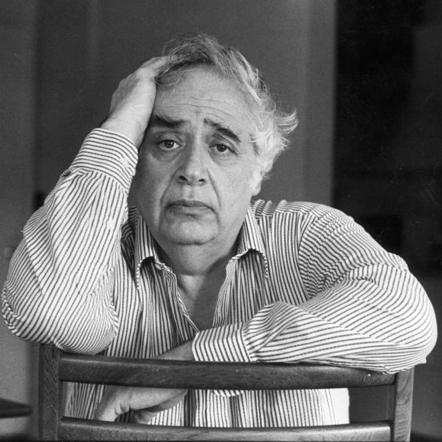 1648004010563092340.jpg 00Bloom3-superJumbo.jpg